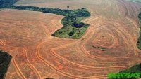 Deforestación de la Selva del Amazonas