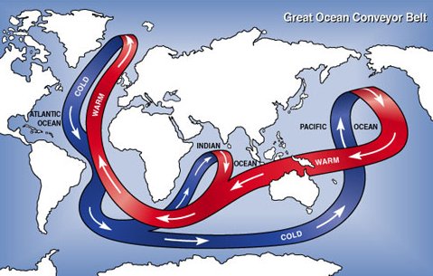La circulación global oceánica entre aguas frías y profundas y aguas cálidas y superficiales