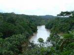 amazonas