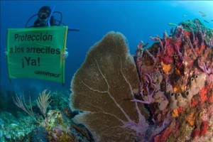 corales-mexico-greenpeace